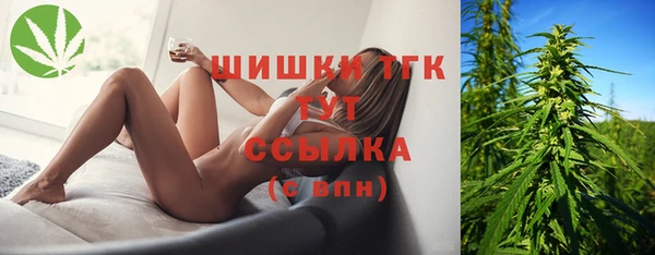 бошки Болотное