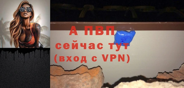 бошки Болотное