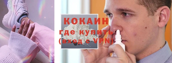 бошки Болотное
