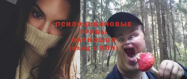 бошки Болотное