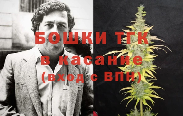 бошки Болотное