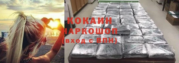 бошки Болотное