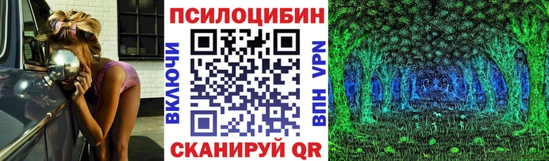 Псилоцибиновые грибы Psilocybine cubensis  Иннополис 